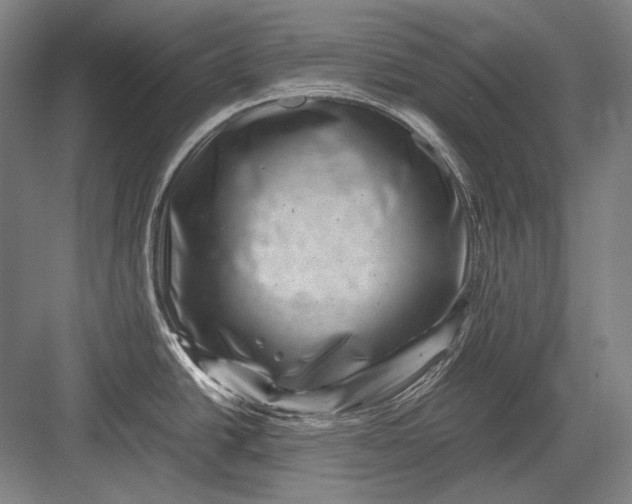 X0000082991438200702160012