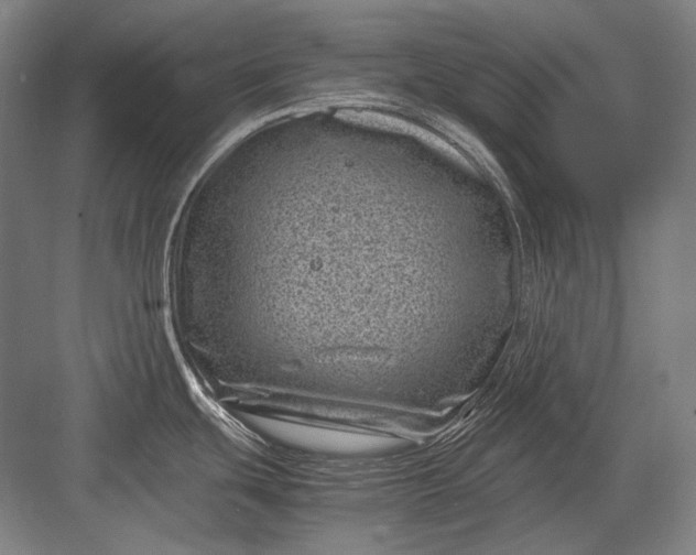 X0000082991439200702160012