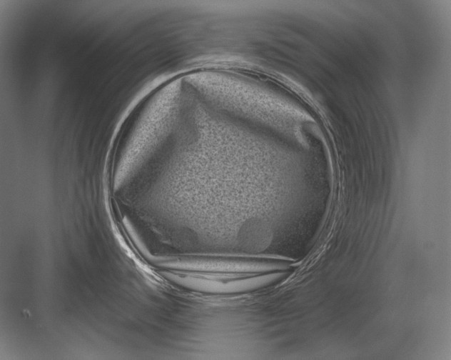 X0000082991440200702160012