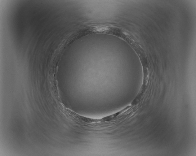 X0000082991441200702160011