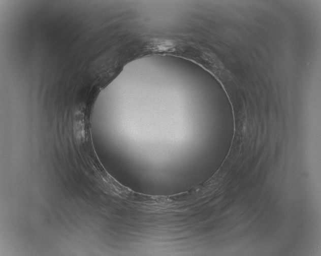 X0000082991442200702160011