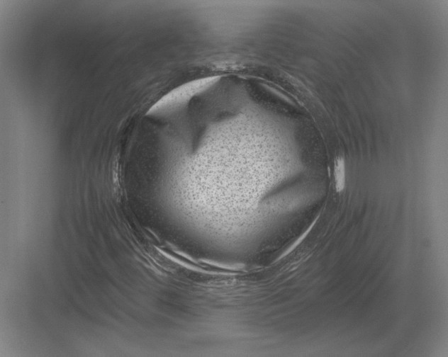 X0000082991444200702160011