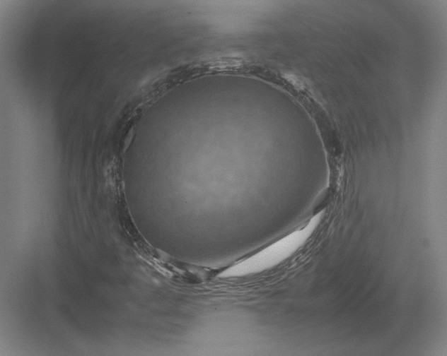 X0000082991445200702160011