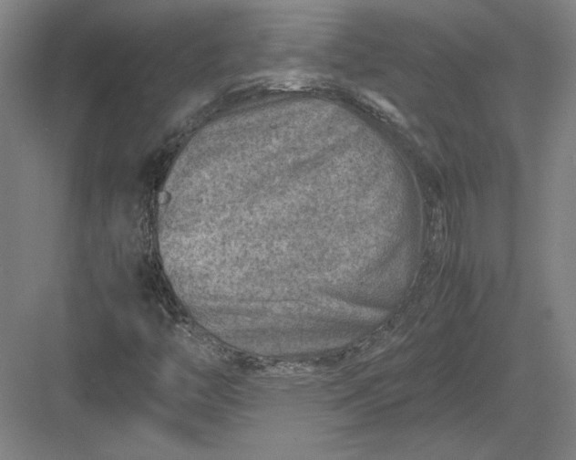 X0000082991446200702160011