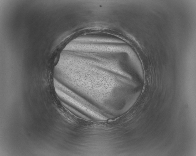 X0000082991448200702160011