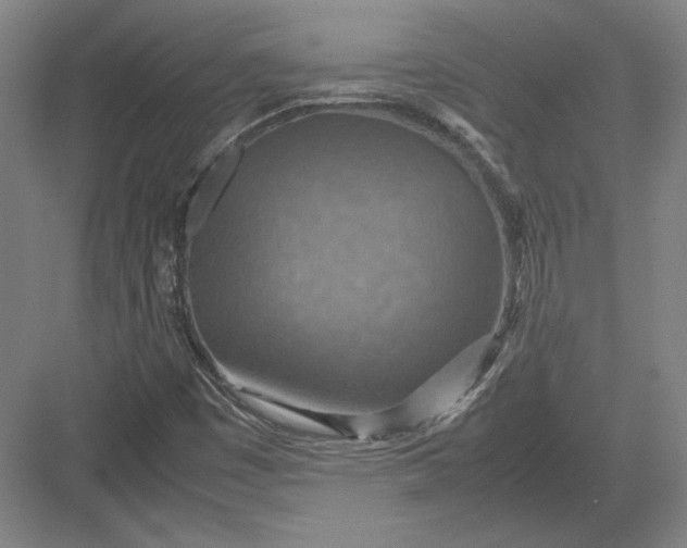 X0000082991449200702160011