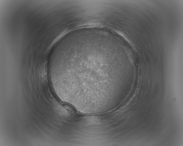 X0000082991450200702160011