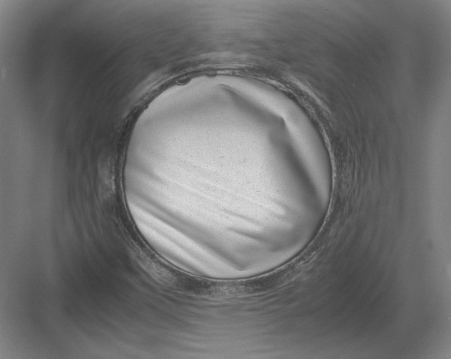 X0000082991451200702160011