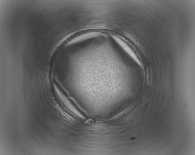 X0000082991452200702160011