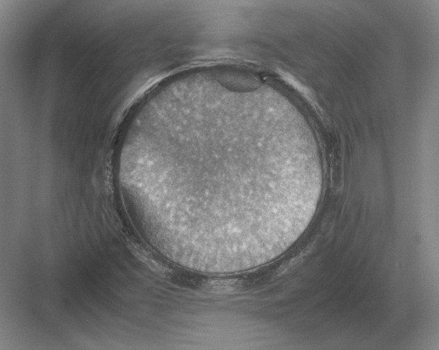 X0000082991453200702160011