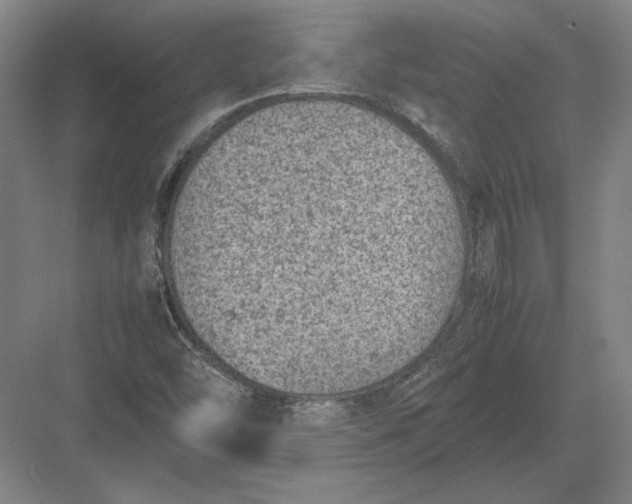 X0000082991454200702160011