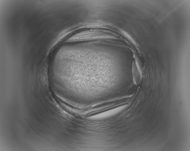 X0000082991456200702160011