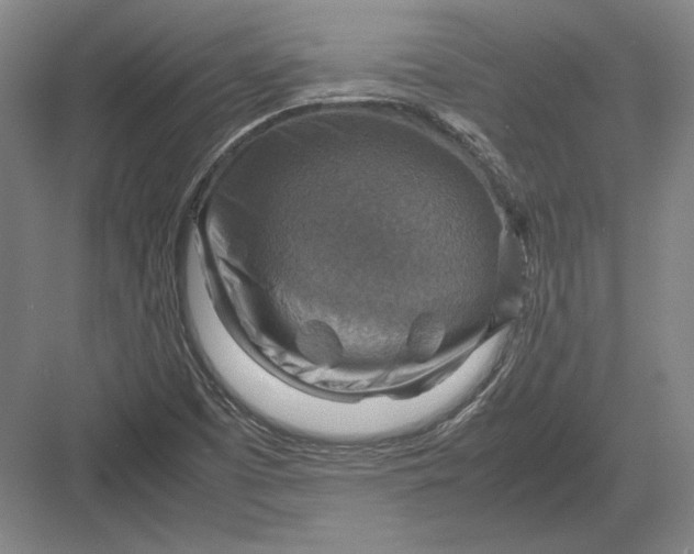 X0000082991457200702160011