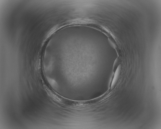 X0000082991459200702160011