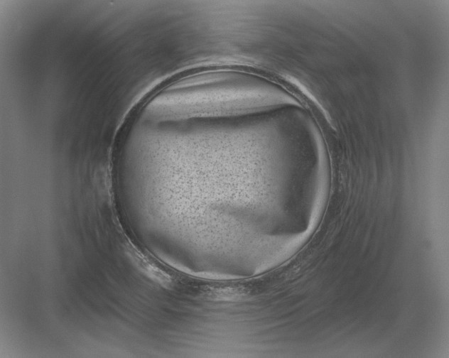 X0000082991460200702160011