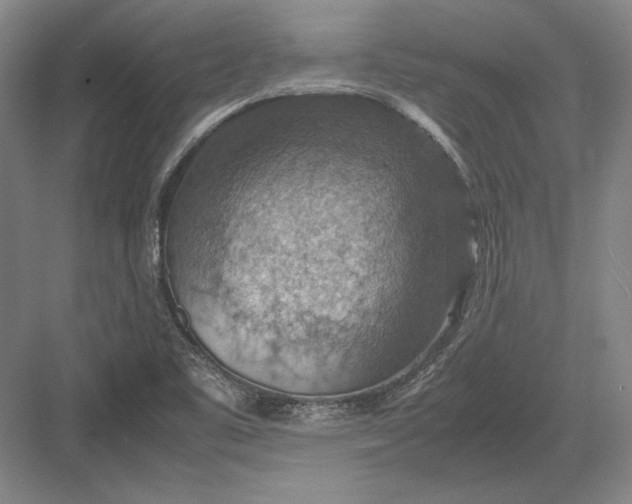 X0000082991461200702160011