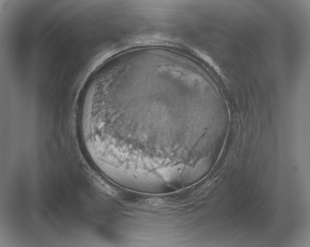 X0000082991463200702160011