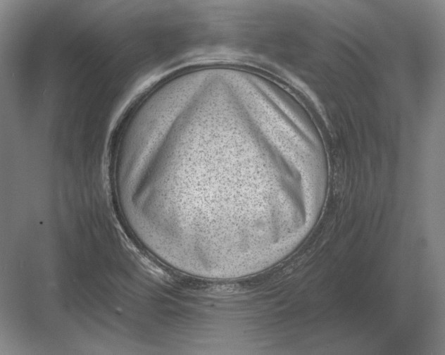 X0000082991464200702160011