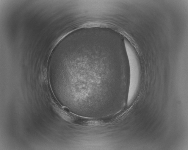 X0000082991465200702160011