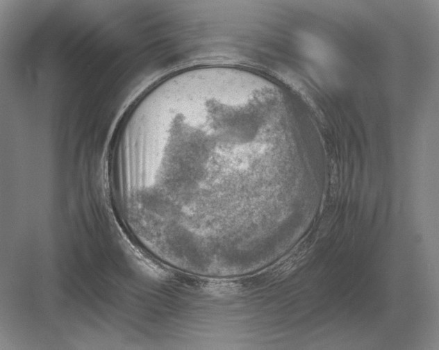 X0000082991466200702160011