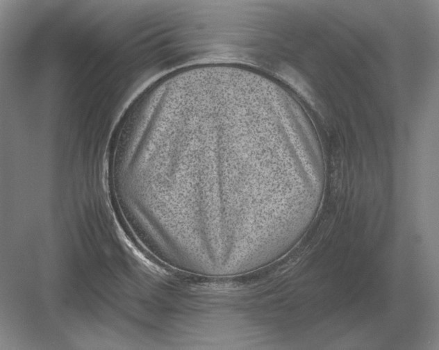 X0000082991468200702160011