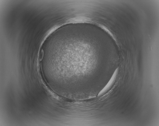 X0000082991469200702160011