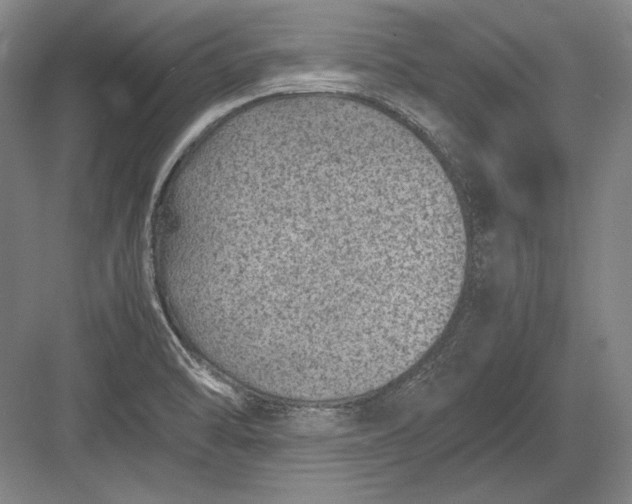 X0000082991470200702160011