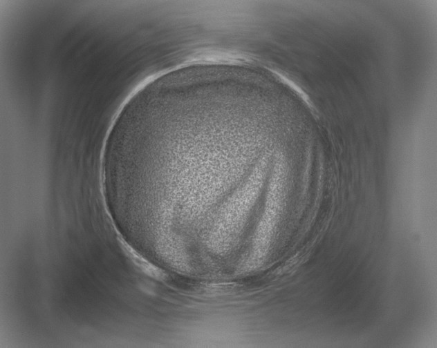 X0000082991471200702160011