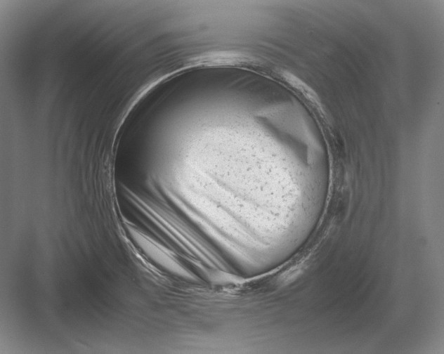 X0000082991473200702160011