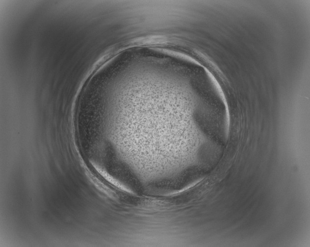 X0000082991475200702160011