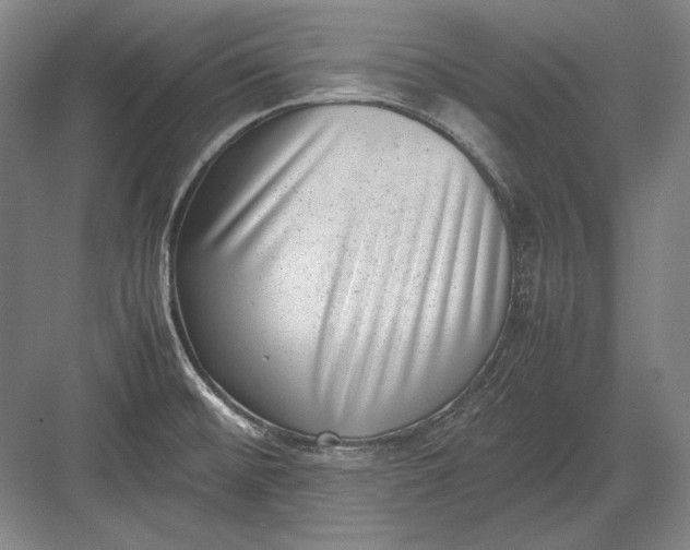 X0000082991476200702160011