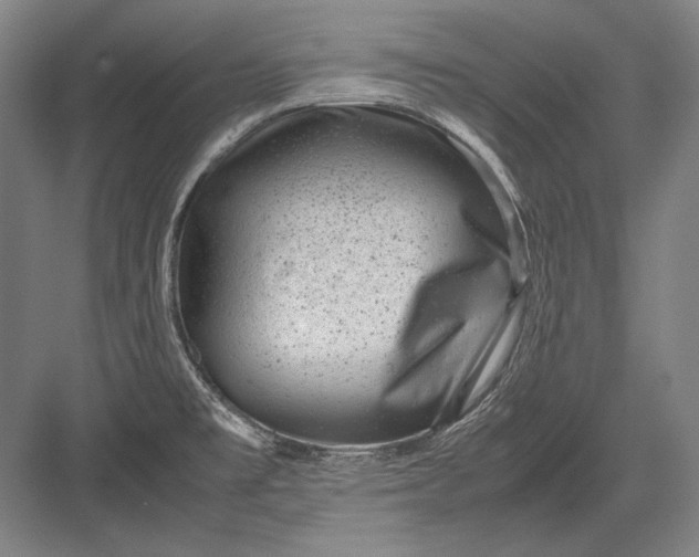 X0000082991477200702160011