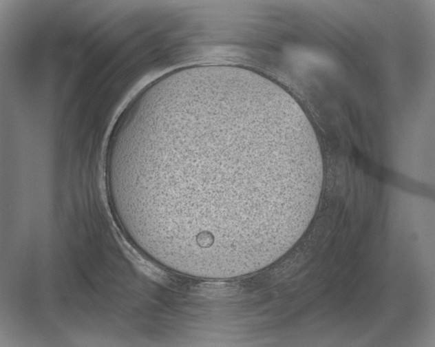 X0000082991478200702160011