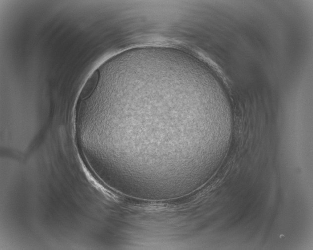 X0000082991479200702160011