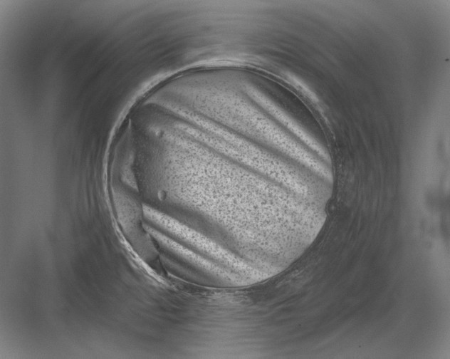 X0000082991480200702160011