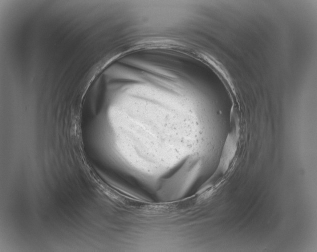 X0000082991481200702160011