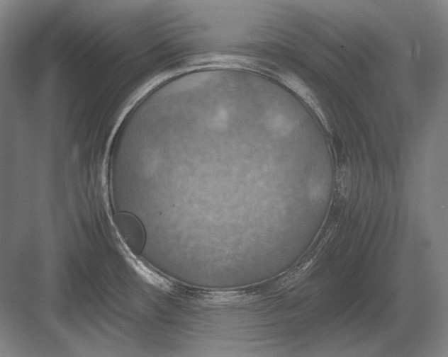 X0000082991482200702160011