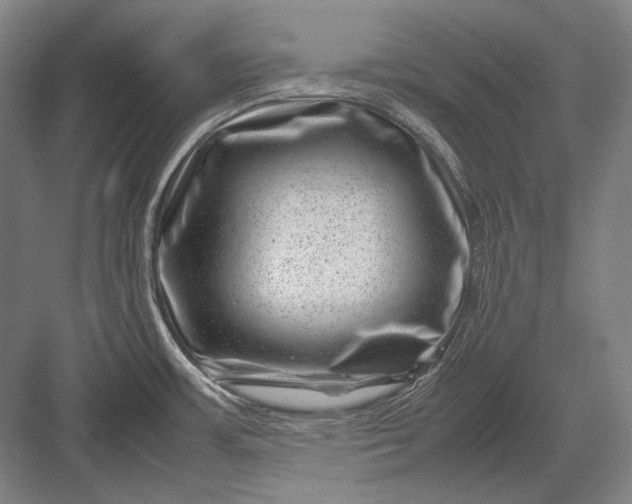 X0000082991483200702160011