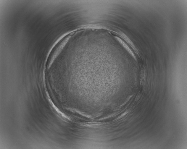 X0000082991484200702160011