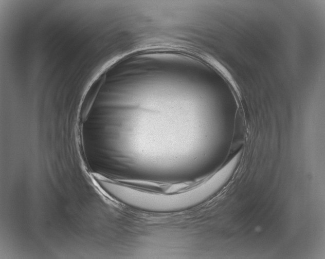 X0000082991485200702160011