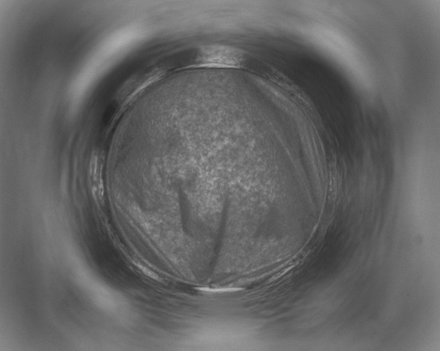 X0000082991487200702160010