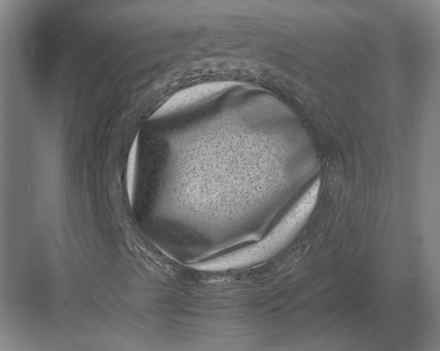 X0000082991489200702160010