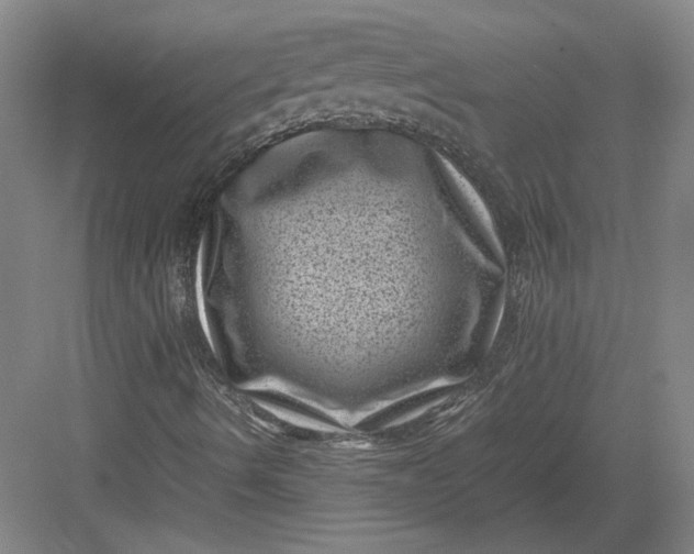 X0000082991490200702160010