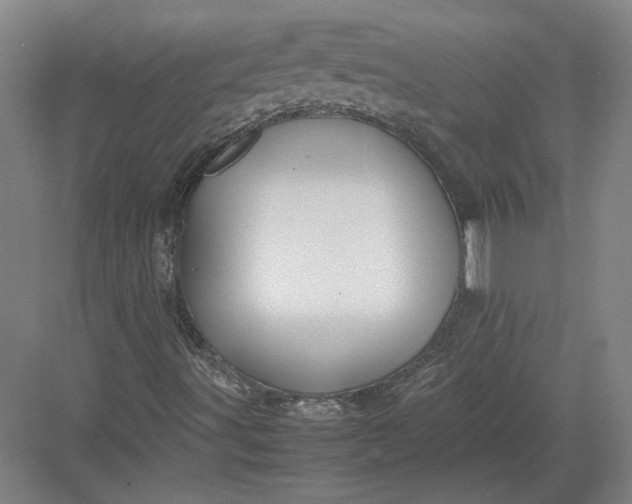 X0000082991491200702160010