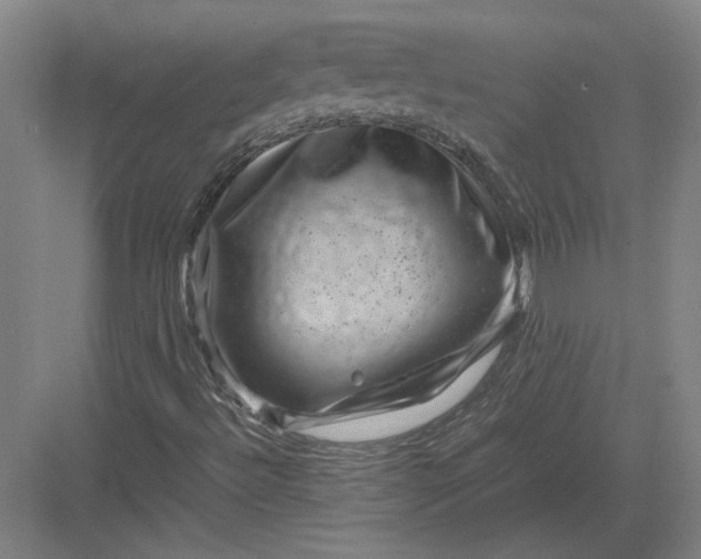 X0000082991492200702160010