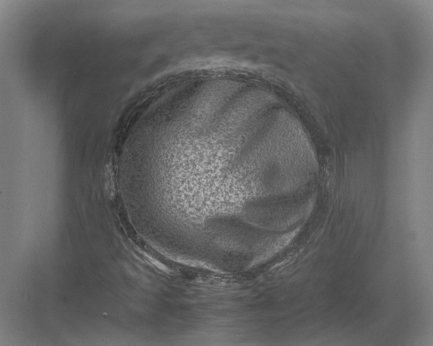 X0000082991493200702160010