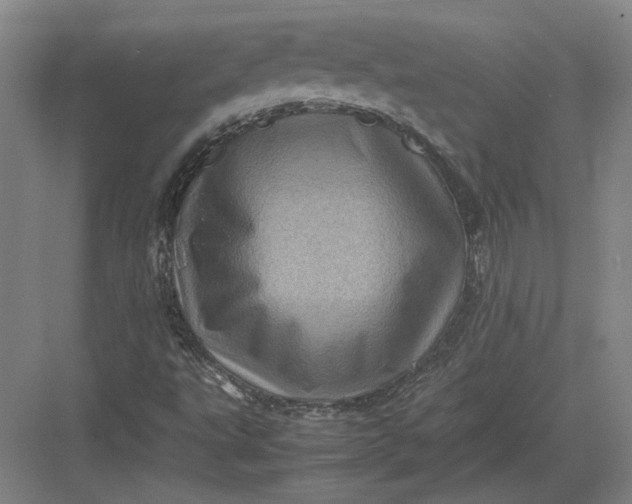 X0000082991495200702160010