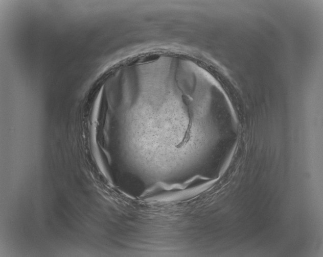 X0000082991496200702160010