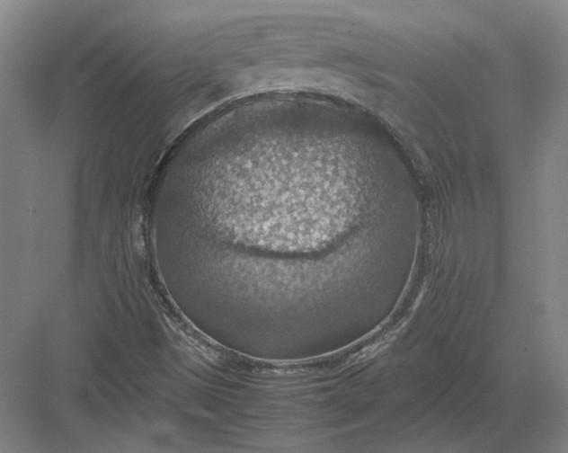 X0000082991497200702160010