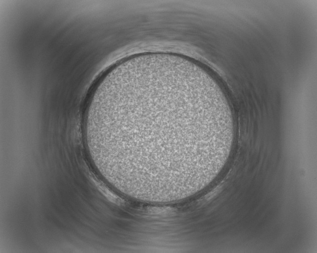 X0000082991498200702160010